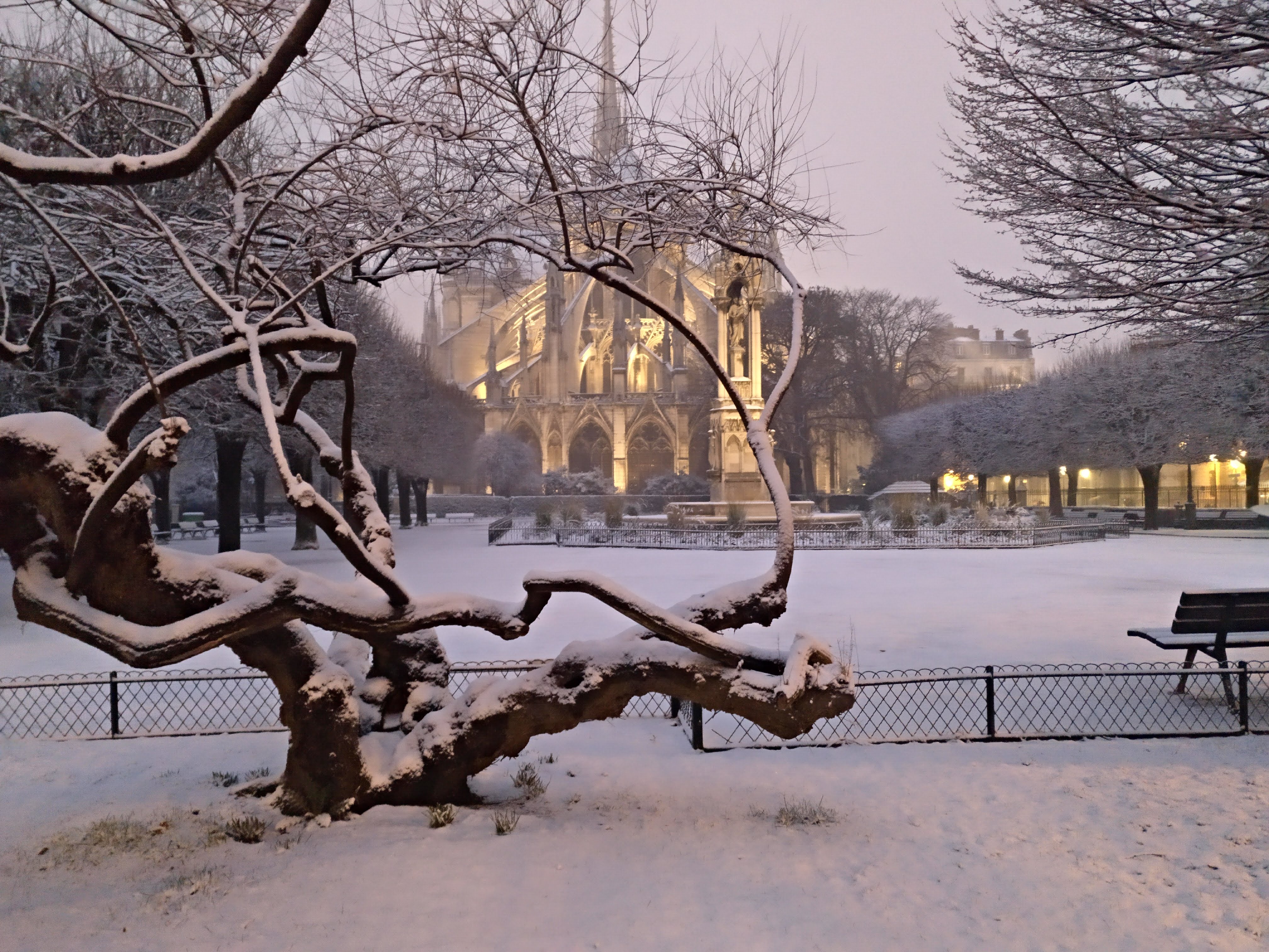 The snow and the cathedral of Paris